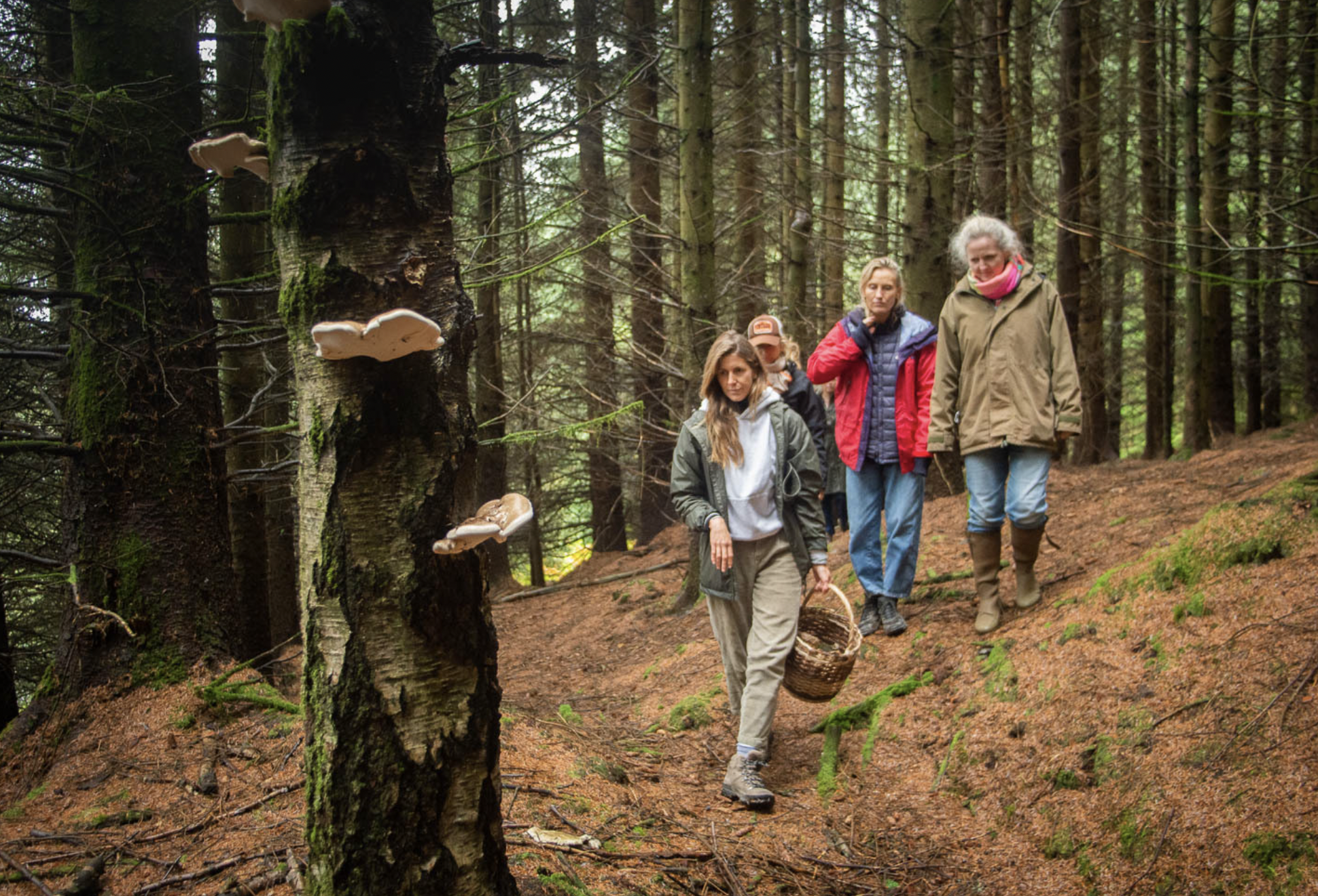 Autumn Foraging at Blair Castle